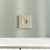 Рамка на 1 пост Werkel Slab (шампань софт) W0012911 4690389218385 a071623