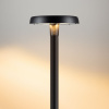 Уличный светильник Arlight ALT-CAN-50W Warm2700 (BK, 140 deg, 230V) (IP65 Металл) 060326