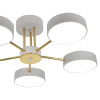 Потолочная люстра Escada Rune 10262/5LED