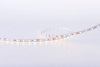Светодиодная лента DesignLed DSG260-12-NW-33 001491