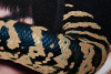Холст Девушка со змеей Garda Decor 89VOR-GIRL/SNAKE-1
