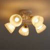Потолочная люстра Freya Entle FR5465CL-05W