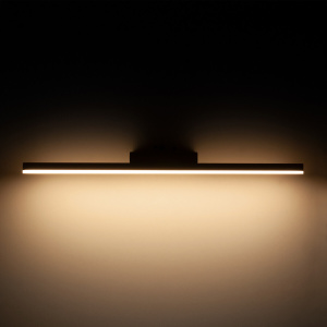 Подсветка для зеркал Elektrostandard Protect LED белый MRL LED 1111 4690389169762