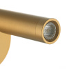 Спот Citilux Dekart CL704102