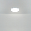 Потолочный светильник Freya Sprida FR6129CL-L80GR