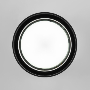 Уличный потолочный светильник Elektrostandard Light 4690389180835