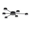 Потолочная люстра Lumion Comfi Torina 8344/6C