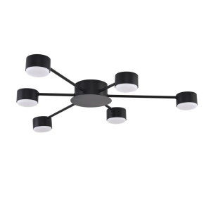 Потолочная люстра Lumion Comfi Torina 8344/6C