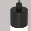 Подвесной светодиодный светильник Maytoni Technical Ray P022PL-L10B