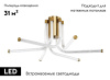 Потолочная люстра Zortes Lora ZRS.57784.06