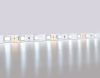 Светодиодная лента Ambrella Light Illumination 24В 5050 14,4Вт/м 6500K 5м IP20 GS4003