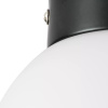 Потолочный светильник Lightstar Globo 812017