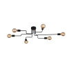 Потолочная люстра ST Luce Ano SL419.442.06