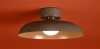Потолочный светильник Freya Movement FR5602CL-L10BR