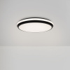 Потолочный светильник Freya Pie FR6086CL-L117B