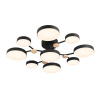 Потолочная люстра LED4U L3201-780 BK