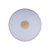 Потолочный светильник Loft IT AXEL 10003/24 Pink