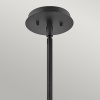 Подвесной светильник Hinkley Lotus QN-LOTUS-P-BLK
