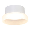 Потолочный светильник Feron Opal HL460 51682