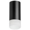 Накладной светильник Lightstar Rullo R43731 (214437+202431)