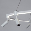 Подвесная люстра Arte Lamp Ring A2186SP-1WH