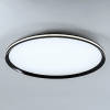 Потолочный светильник LED4U L3020-600 BK