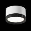Потолочный светильник Maytoni Technical Hoop C086CL-GX53-SRD-WB