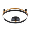 Потолочный светильник Crystal Lux FERNANDO PL48W LED BLACK/GOLD