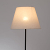 Торшер Arte Lamp Alea A5068PN-1BK