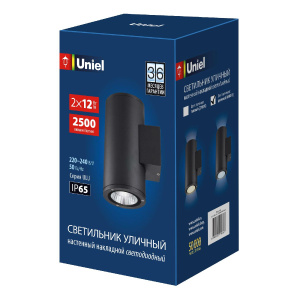 Уличный настенный светильник Uniel ULU-S22D-2x12W/6400K IP65 BLACK UL-00010848