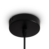 Подвесной светильник Freya Topi FR5503PL-01B