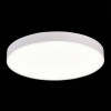 Потолочный светильник ST Luce ST606.542.96