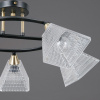 Потолочная люстра Illumico IL0850-5CSQ-25BKAB ELITE