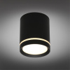 Накладной светильник Omnilux Capurso OML-102439-05