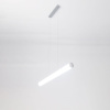 Подвесной светодиодный светильник Citilux Фауст CL721P24N