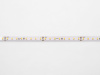 Светодиодная лента LEDS POWER 2835 112/м (10Вт/м) 24В холодная 30м/кат, серия ПРО140 005744