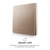 Выключатель кинетический 1кл., IP44, 2,4 ГГц, Smart, беж. Apeyron 04-75