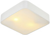Потолочный светильник Arte Lamp Cosmopolitan A7210PL-2WH