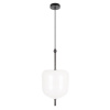 Подвесной светильник Loft IT Venice 10223/D White