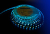 Светодиодная лента DesignLed DSG560-12-RGB-33 000603