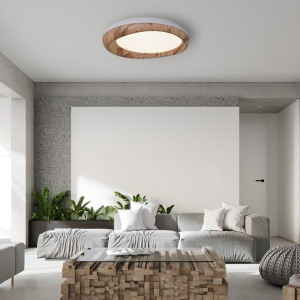 Потолочный светильник ImperiumLoft Runis 140974-26