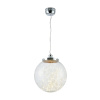 Подвесной светодиодный светильник Freya Isabel FR6157-PL-24W-TR