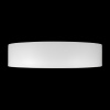 Потолочный светильник Loft IT Coin 10202 WB