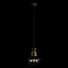 Уличный подвесной светильник Loft IT Piemonte 100022P