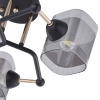 Потолочная люстра Arte Milano Amalfi 324308/3 BK+FG