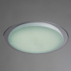 Потолочный светодиодный светильник Arte Lamp Lunio A6060PL-1WH
