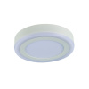 Потолочный светодиодный светильник Arte Lamp Antares A7809PL-2WH