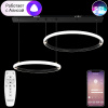 Подвесная люстра Natali Kovaltseva LED LAMPS 81280
