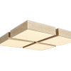 Потолочный светильник Freya Cubba FR5450CL-L120BG