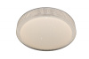 Потолочная люстра Natali Kovaltseva LED LAMPS 81075